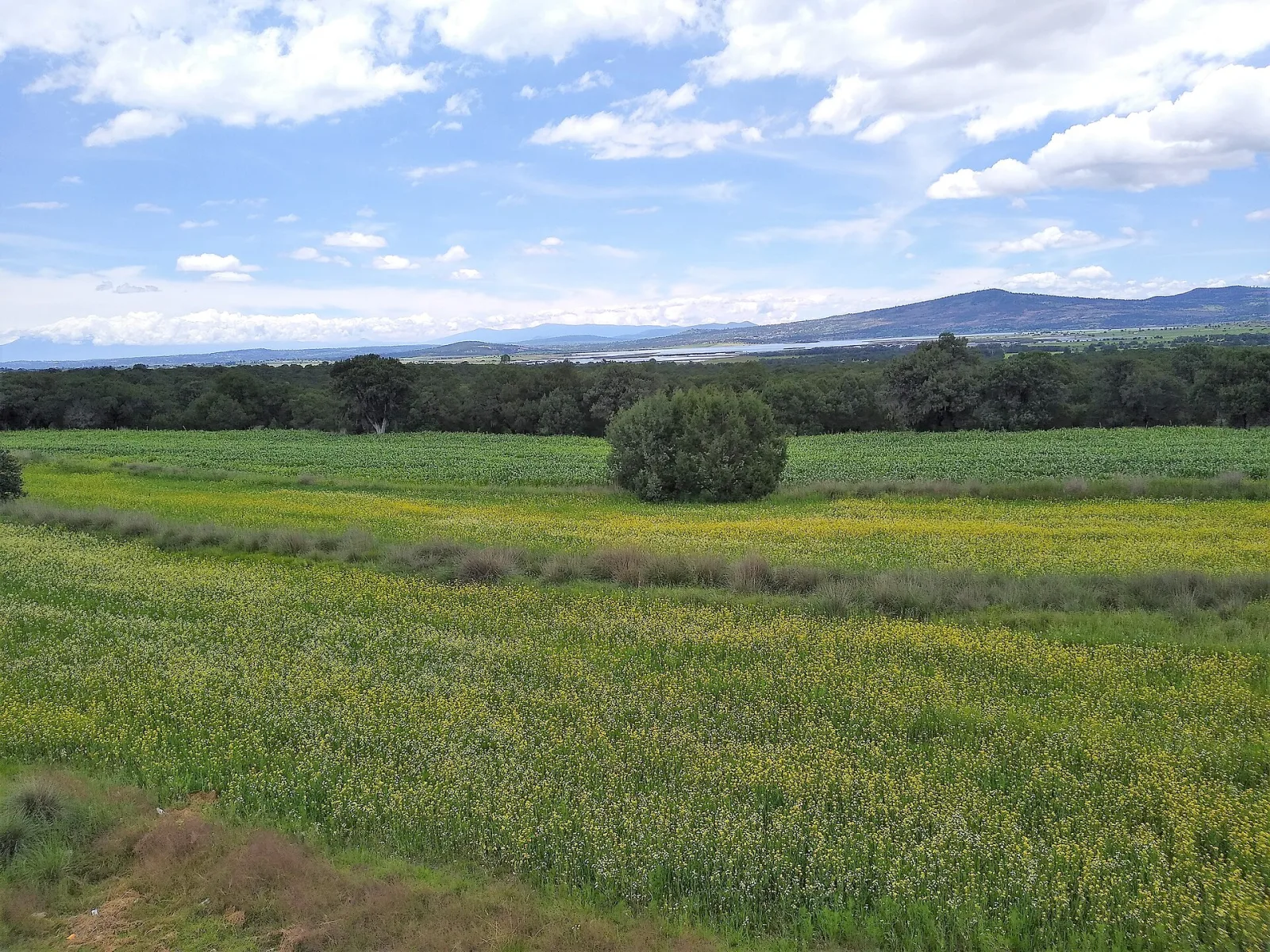 Laguna de Atlangatepec